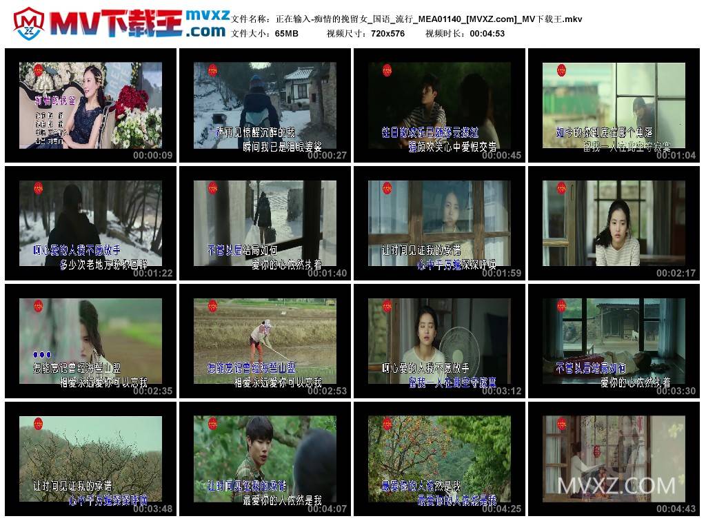 正在输入-痴情的挽留女_国语_流行_MEA01140
